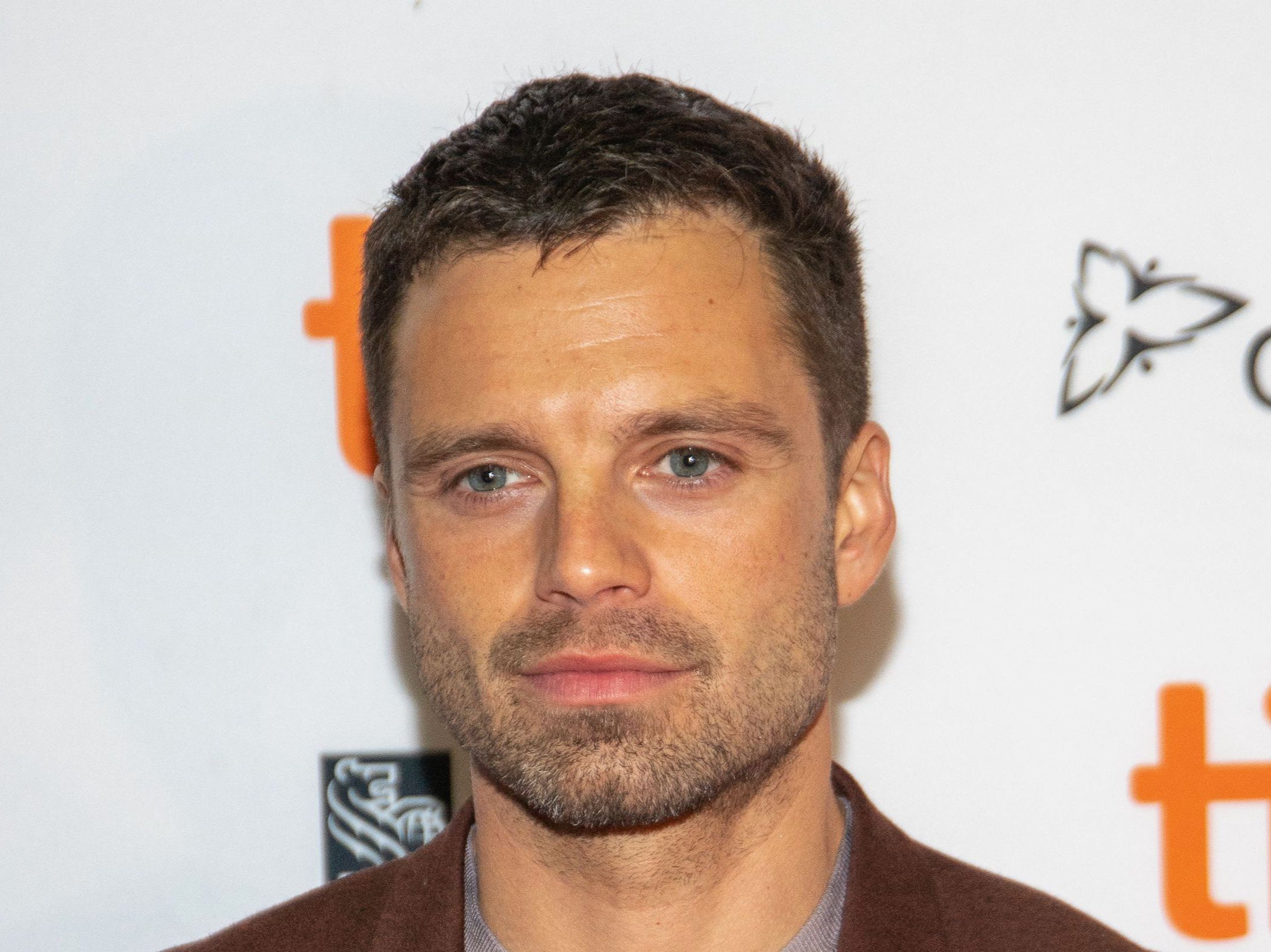 <p>Sebastian Stan</p>