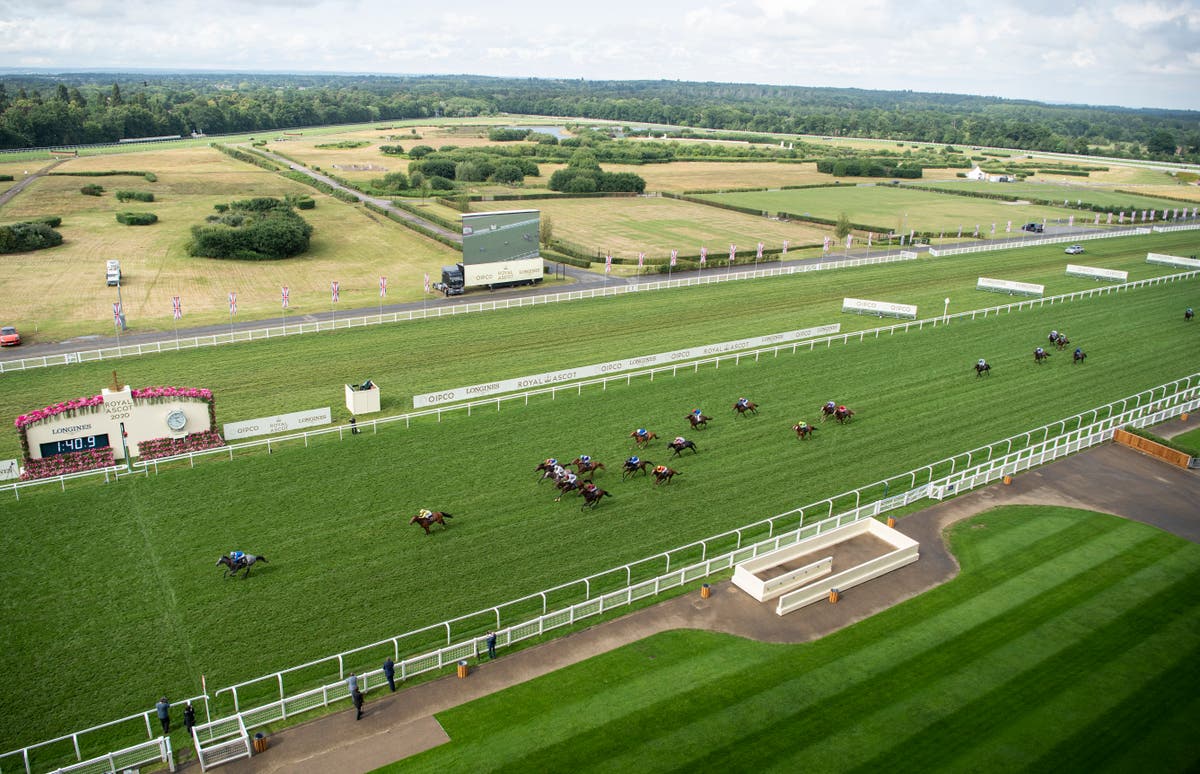 Charities to receive bookmakers’ Britannia Stakes profits