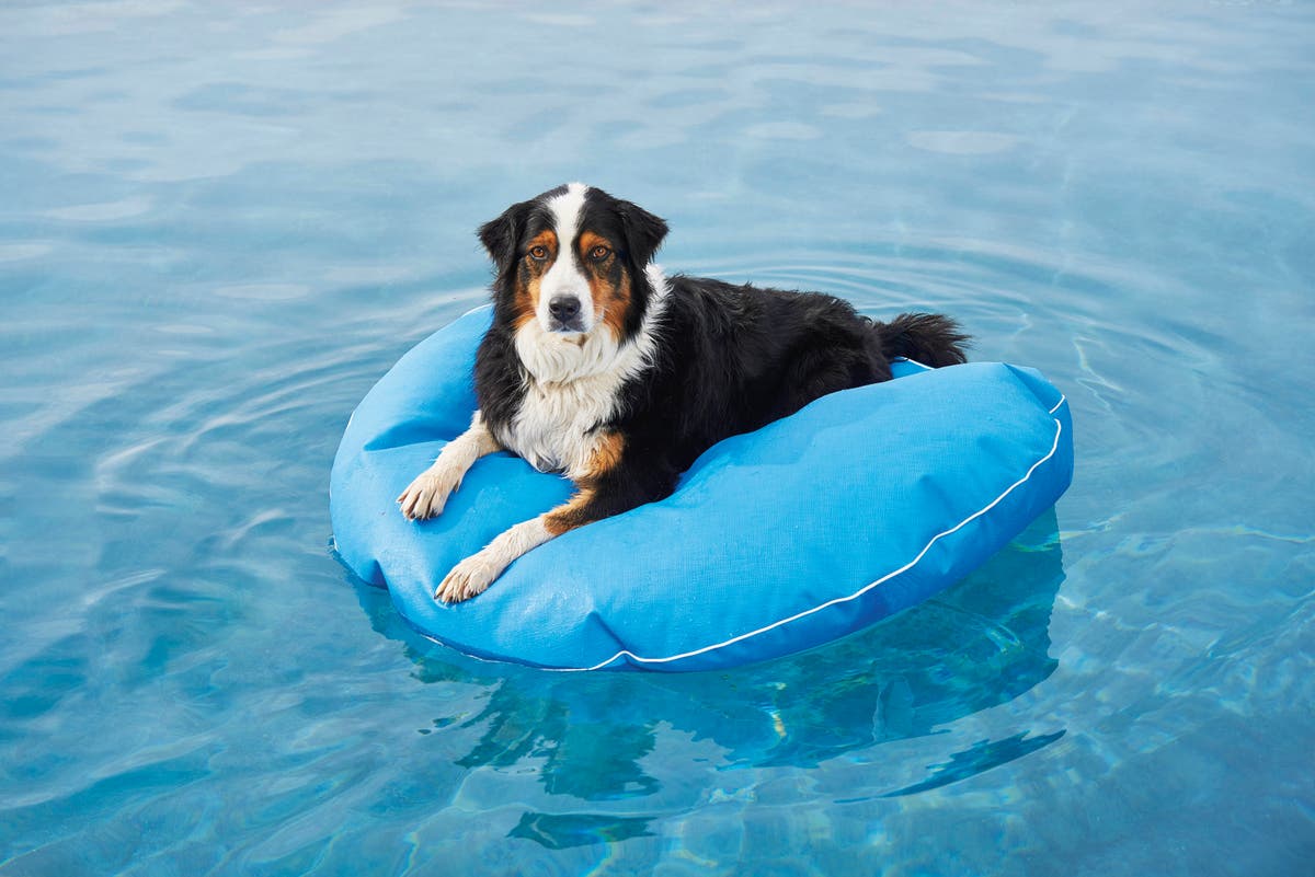 Right at Home: Splashy water toys for patio, pool, yard