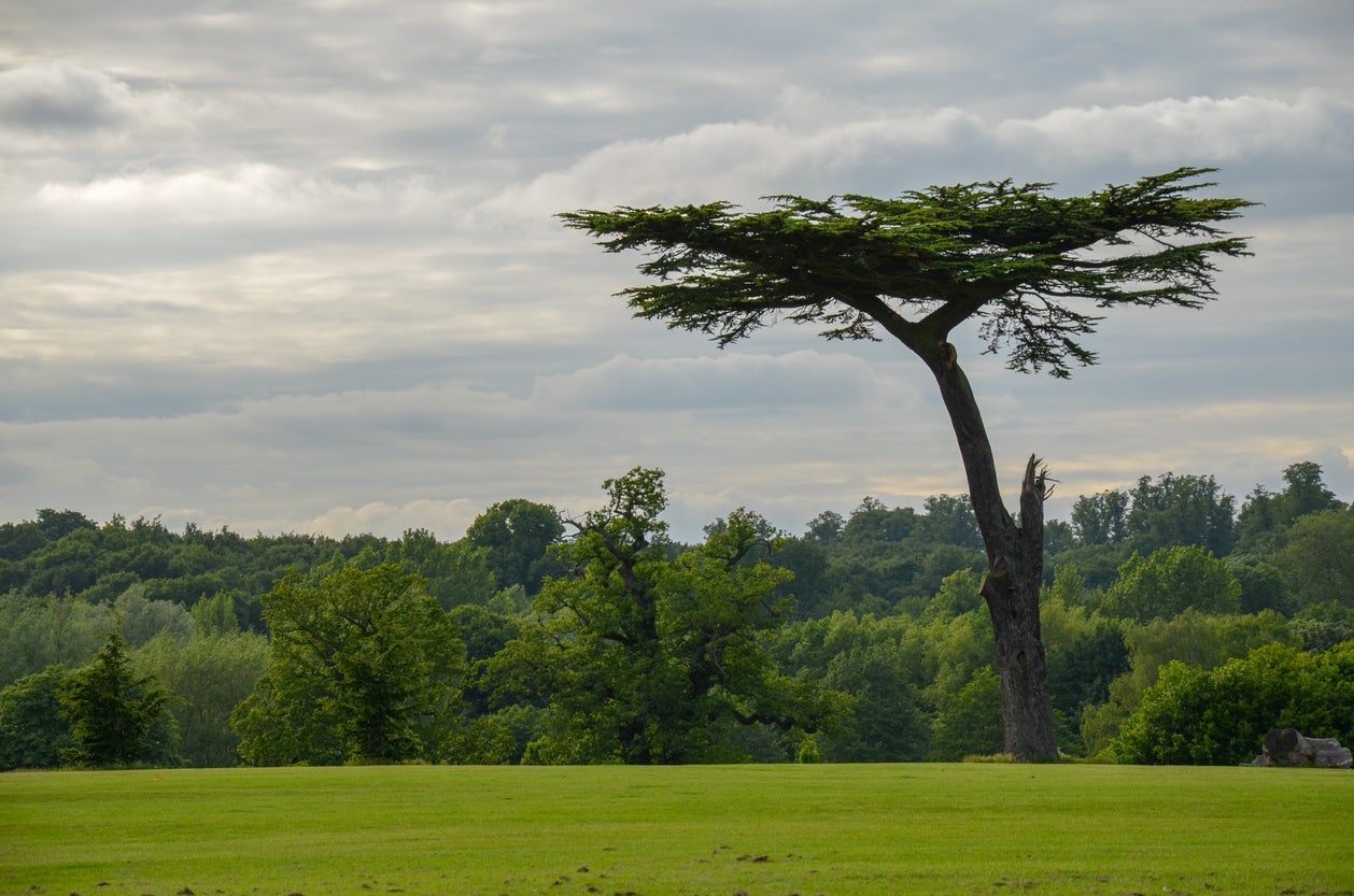 Cassiobury Park – the jewel in Watford’s crown – is the town’s largest public open space