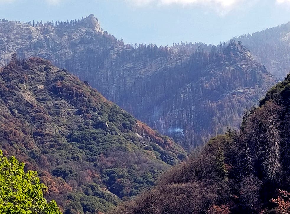 CALIFORNIA-INCENDIO FORESTAL-SECUOYAS
