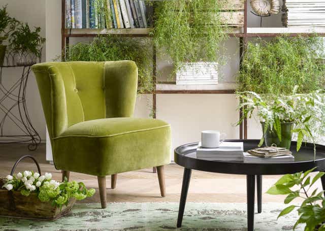 Betty Armchair in Olive from Sofa.com