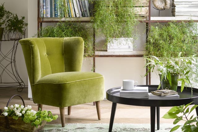 Betty Armchair in Olive from Sofa.com