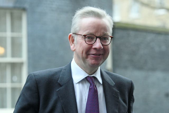 <p>Cabinet Office minister Michael Gove</p>