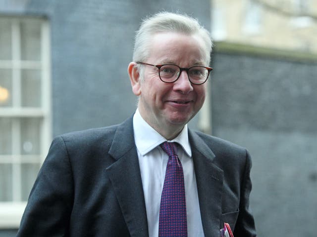 <p>Cabinet Office minister Michael Gove</p>
