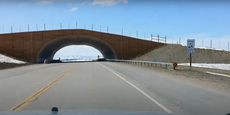 Wyoming introduces wildlife crossings and collisions drop