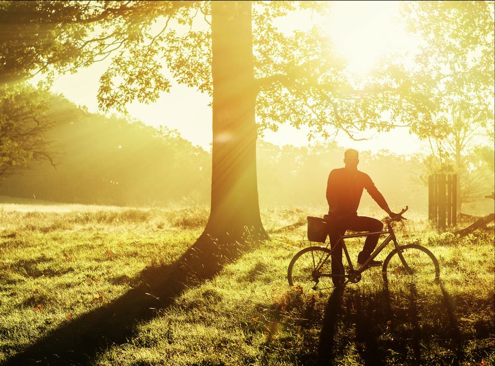 <p>Cycle more, love nature, fire up your empathy and put pressure on the government</p>