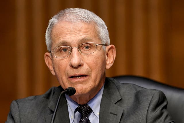 <p>Dr Anthony Fauci, director of the National Institute of Allergy and Infectious Diseases, speaks during a Senate Health, Education, Labor and Pensions Committee</p>