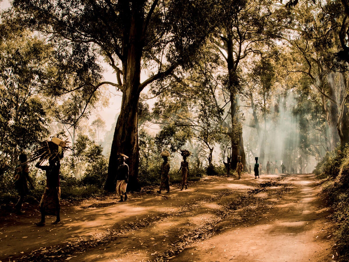 Displaced people walk through the forest in Ituri province