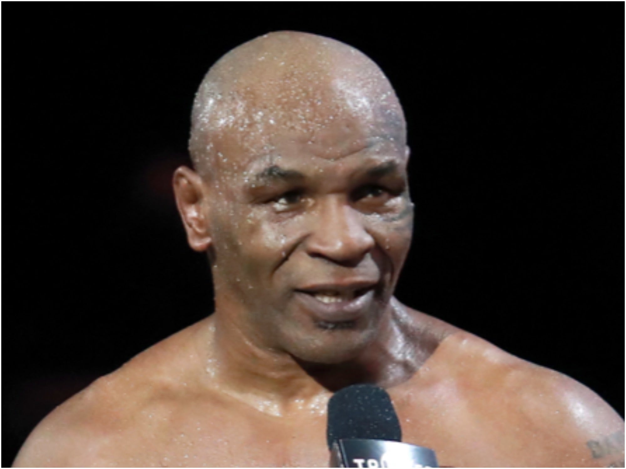 Mike tyson paul. Майк Тайсон. Майк Тайсон Джейк пол. Майк Тайсон шея. Майк Тайсон сейчас.