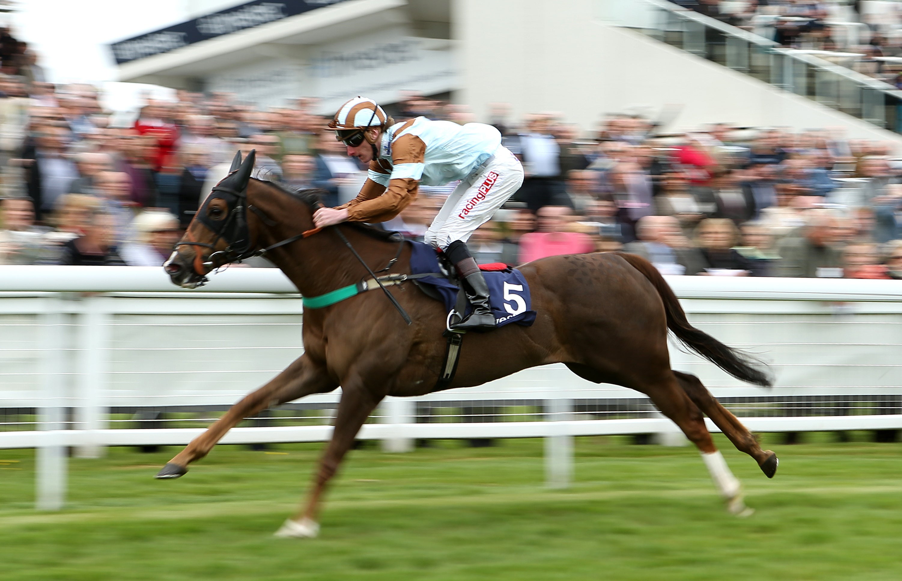 Caspian Prince bids to win the World Pool "Dash" Handicap at Epsom for a fourth time