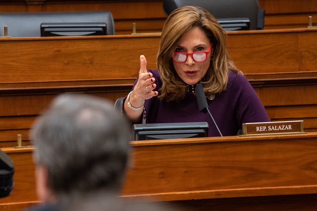 <p>WASHINGTON, DC - MARCH 10:  U.S. Rep. Maria Elvira Salazar (R-FL) questions Secretary of State Antony Blinken during a hearing of the House Committee on Foreign Affairs on Capitol Hill on March 10, 2021 in Washington, DC. </p>