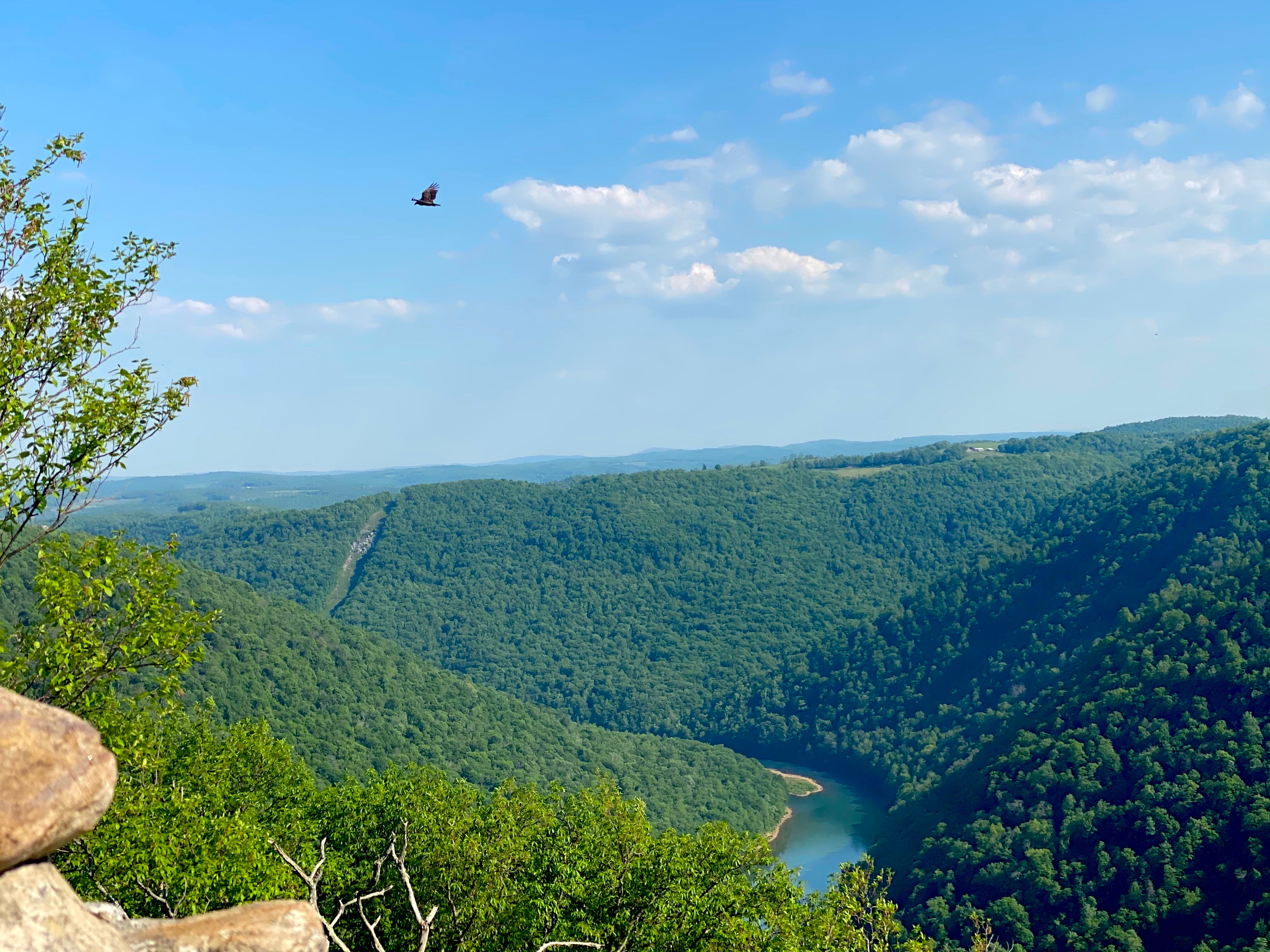 The view from an overlook at Coopers Rock State Forest just outside of Morgantown, West Virginia