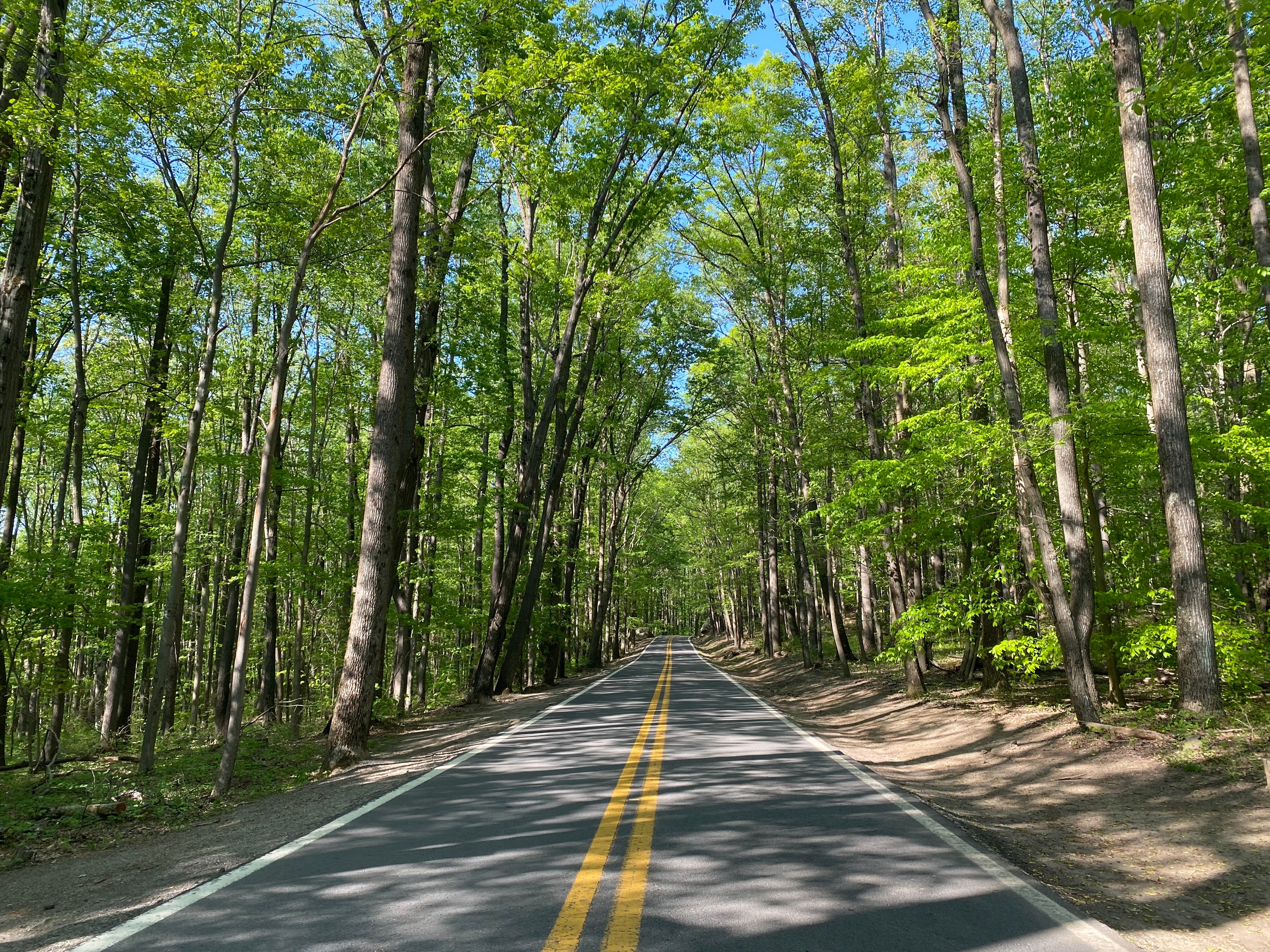 It takes less than 30 minutes to reach this road from the centre of Morgantown, West Virginia. Access to nature is a key slelling point of the state’s new remote worker programme.