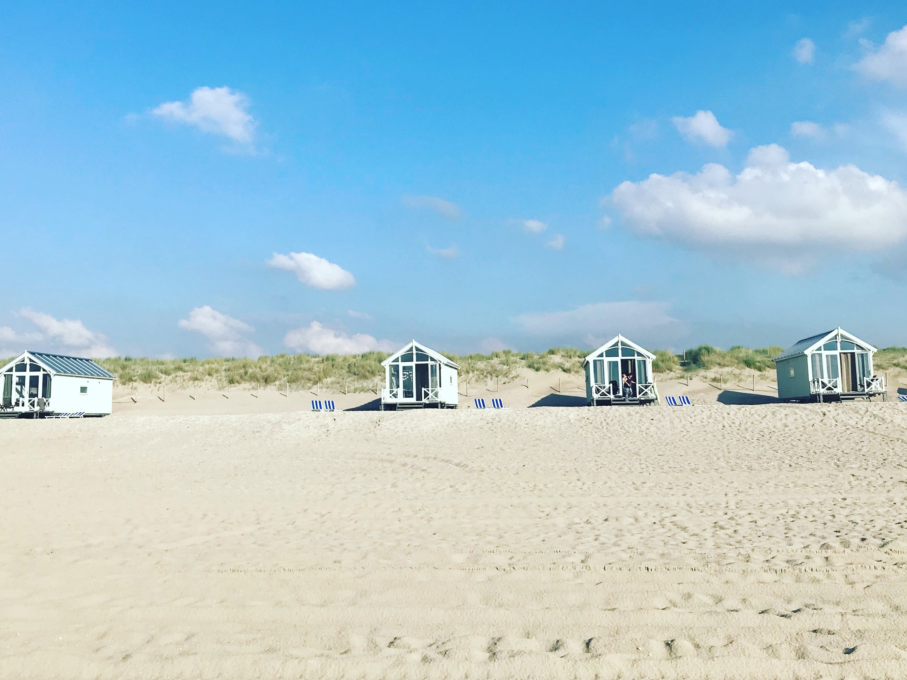 Haagse Strandhuisjes are contemporary wooden beach houses