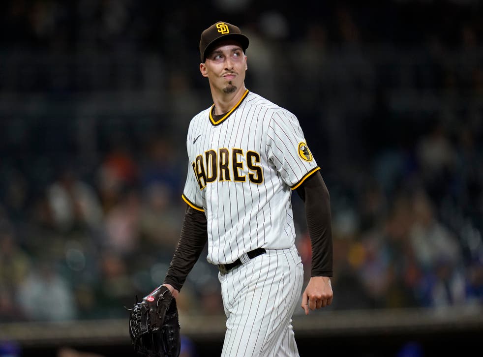 DEP-BEI METS-PADRES