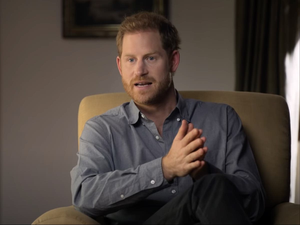 Prince Harry is &lsquo;very immature&rsquo; for criticising public mourners of Diana, royal biographer claims 
