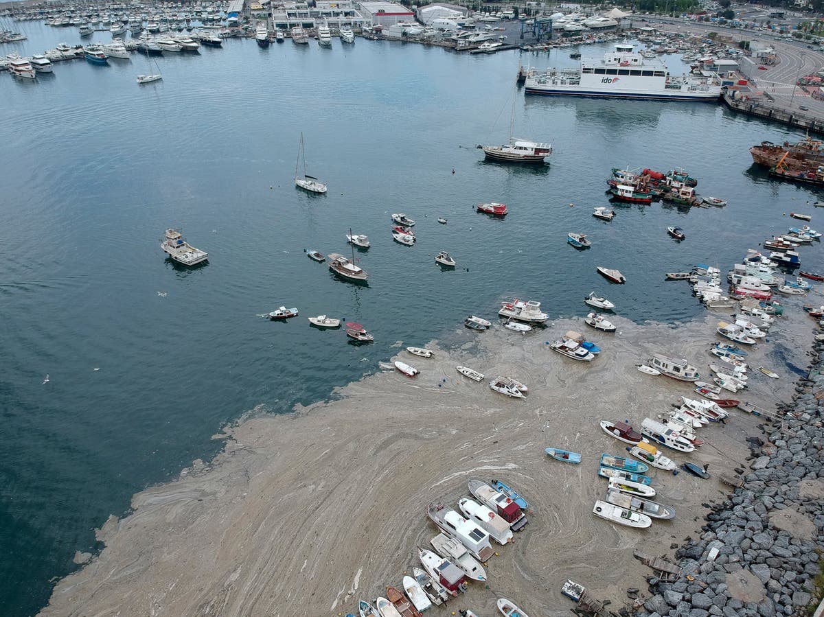 Sea snot: Turkey races to prevent marine disaster as sealife suffocated by slime