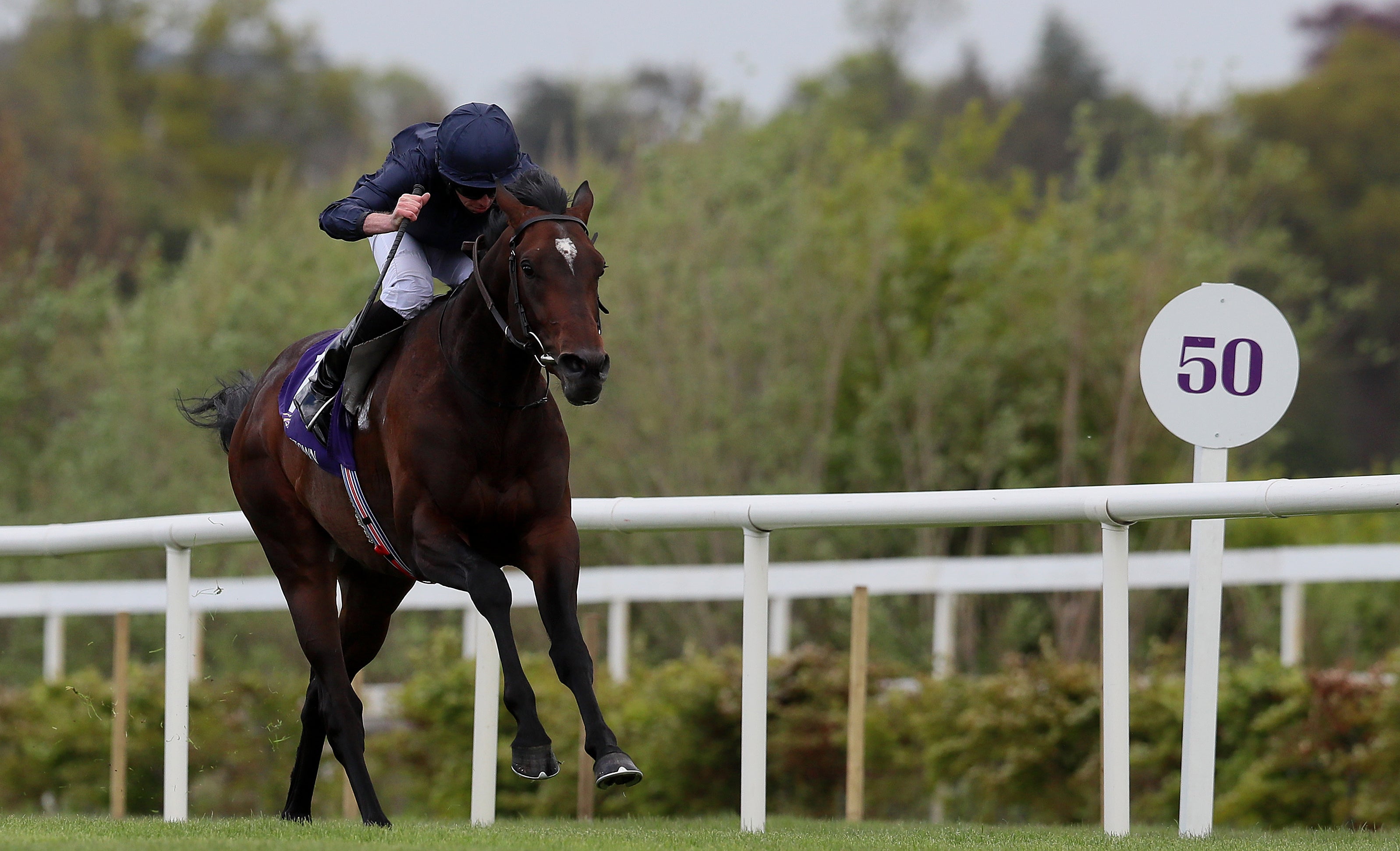 Bolshoi Ballet was found to have sustained a cut to a hind leg in the early stages of the Cazoo Derby