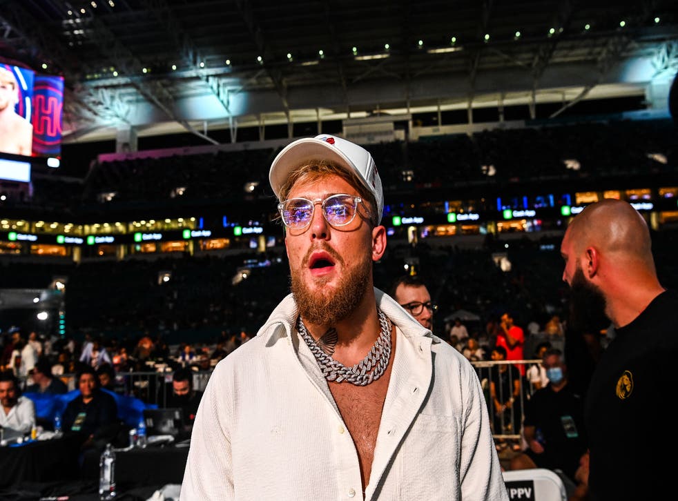 Floyd Mayweather Vs Logan Paul Jake Paul Calls Out Canelo After Brother Goes Distance In Exhibition Bout The Independent