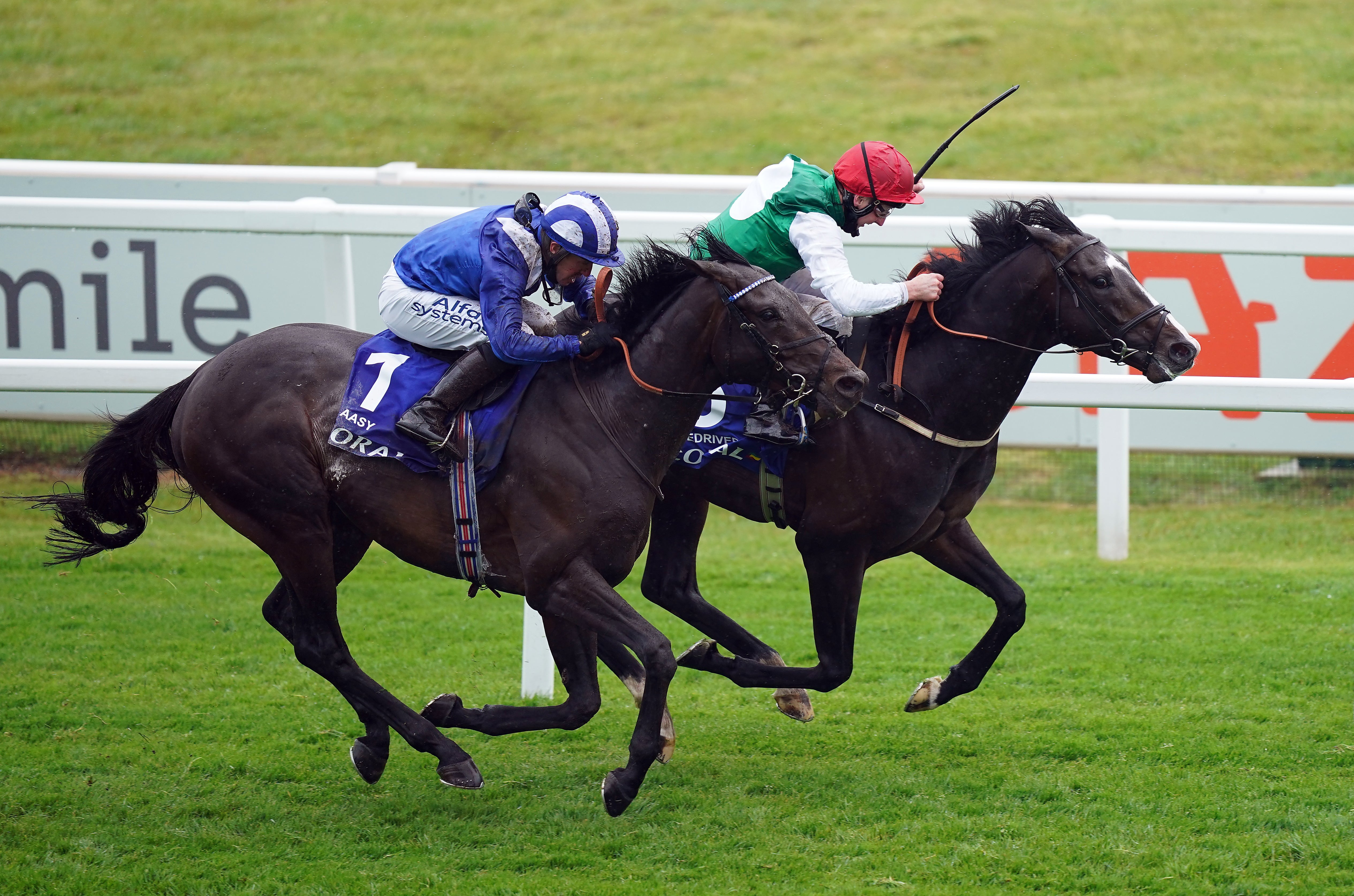 Coronation Cup hero Pyledriver likely to sit out Royal Ascot | The