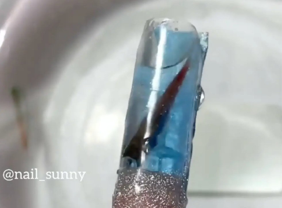 Beauty Salon Sparks Huge Backlash After Putting Live Fish Into A False Nail Indy100 Beauty Salon Sparks Huge Backlash After Putting Live Fish Into A False Nail Indy100