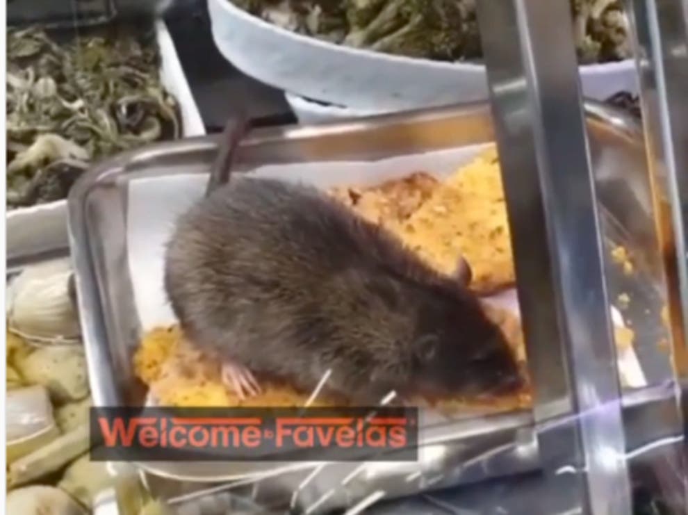 Favelas Rats Supermarket owner ‘blackmailed’ after rat filmed feasting on food at ...