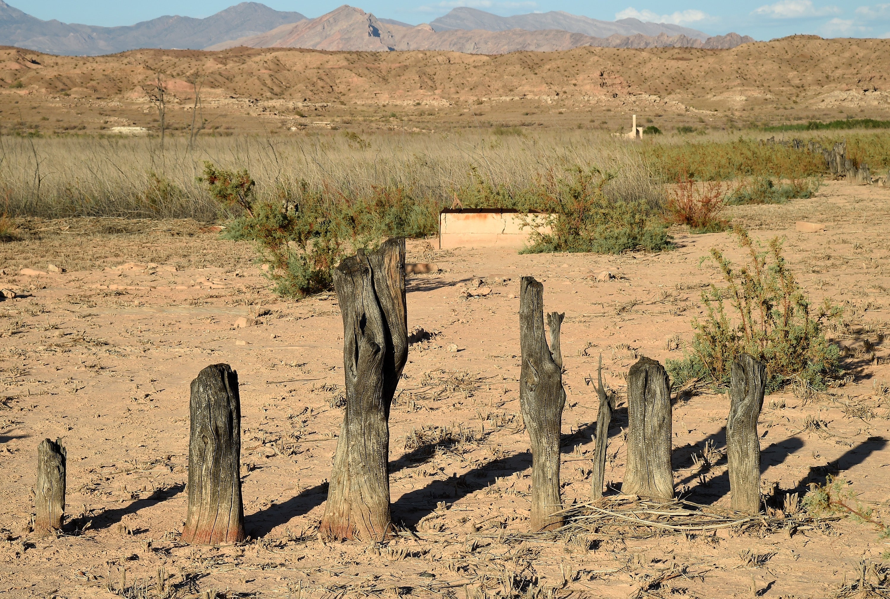 The once flooded ghost town of St Thomas in Lake Mead, Nevada, pictured uncovered in 2015, after epic droughts caused water levels to drop. The on-going crisis could cause water shut offs