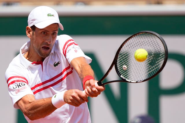 <p>Novak Djokovic, pictured, battled back to beat Lorenzo Musetti</p>
