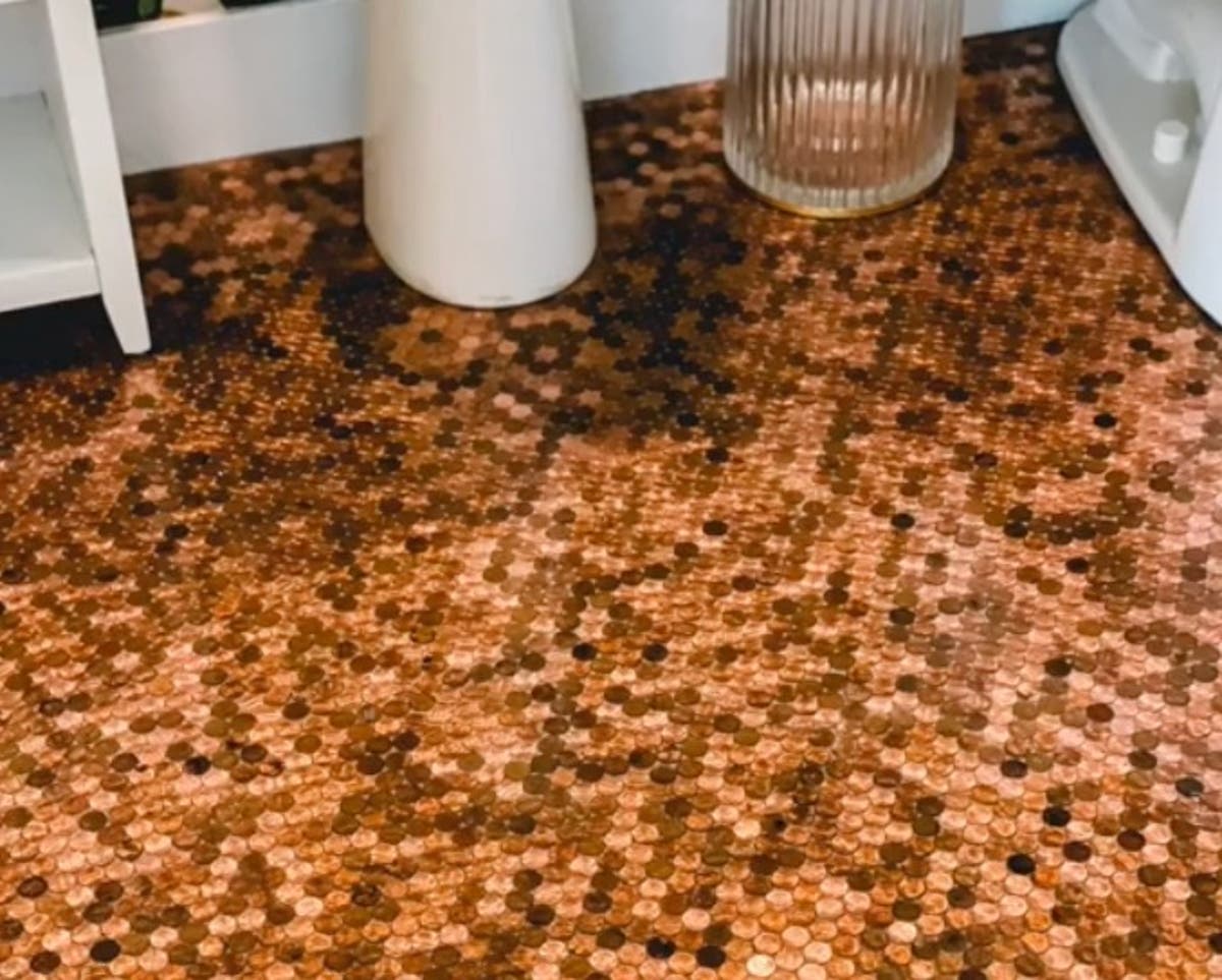 Girl glues 7700 pennies to her toilet ground and potentially misses out on fortune