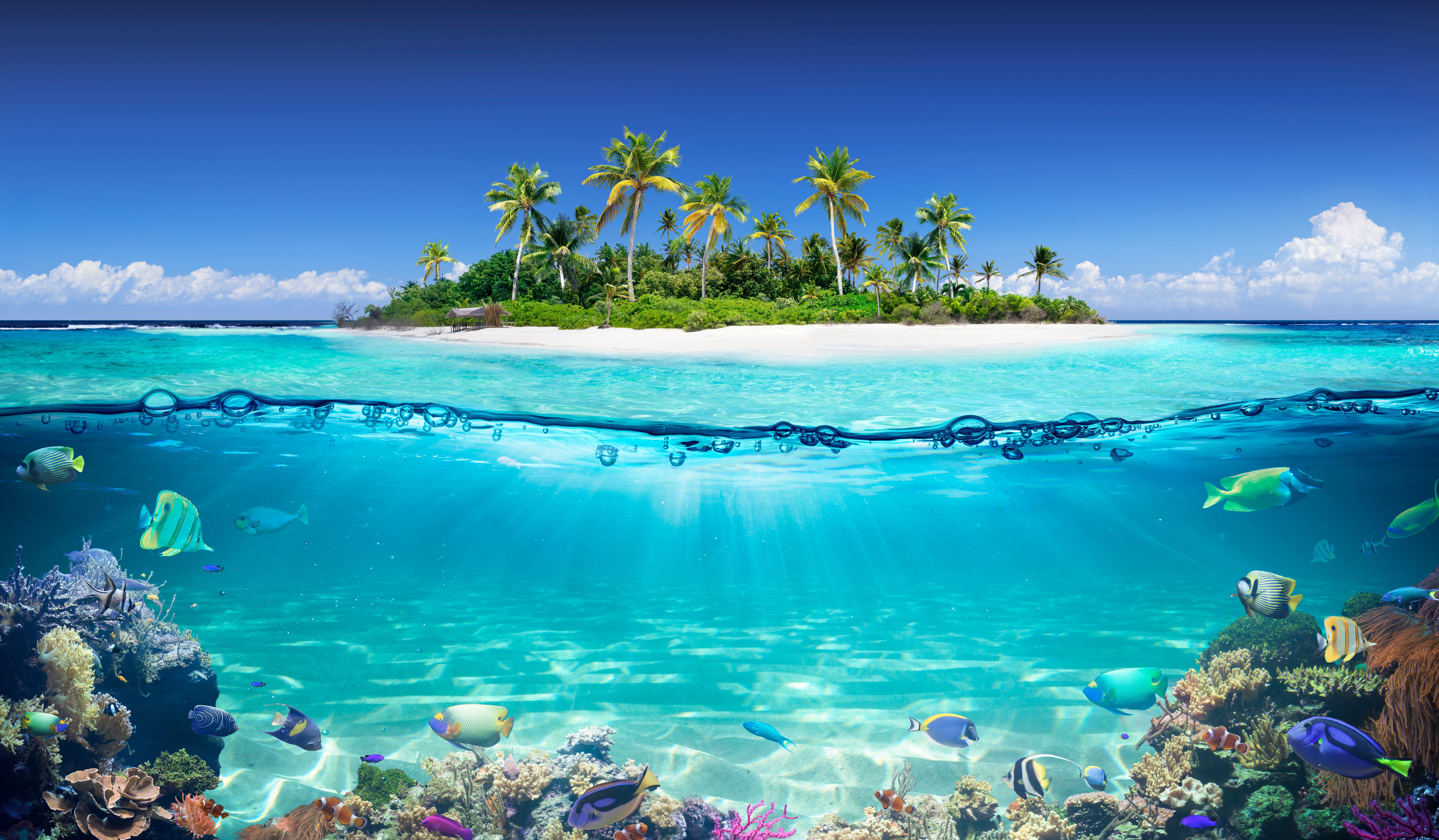 2C1BHY5 Tropical Island And Coral Reef - Split View With Waterline (Alamy/PA)