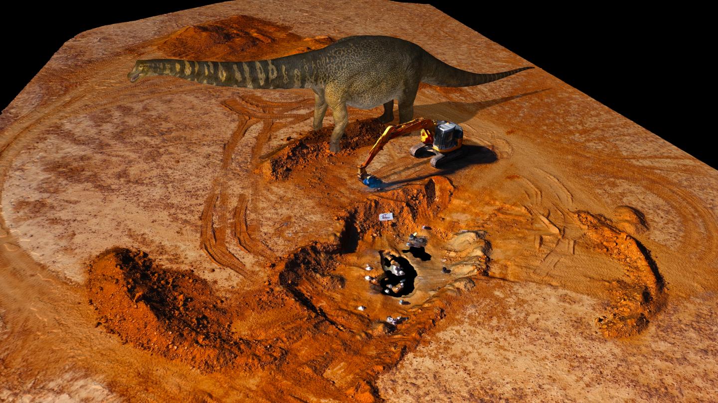 A virtual reconstruction of the dinosaur Australotitan cooperensis created by Eroman Museum