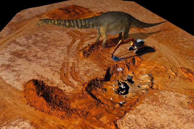 <p>A virtual reconstruction of the dinosaur Australotitan cooperensis created by Eroman Museum</p>