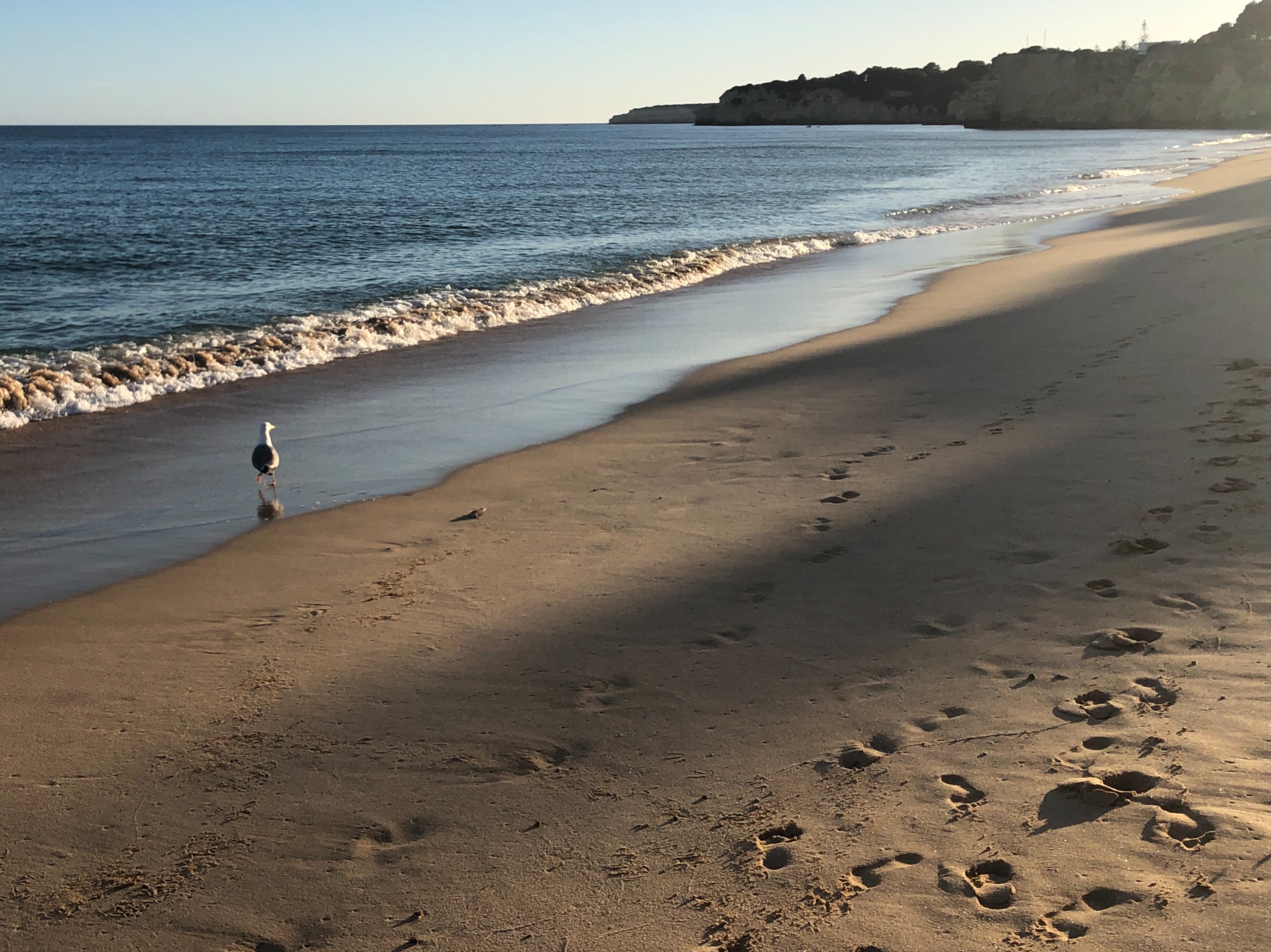 Empty quarter: the beach at Armacao on Portugal’s Algarve Coast