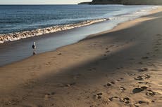 Holiday bookings collapse 83% as travel restrictions bite