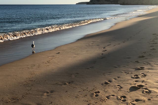 <p>Empty quarter: the beach at Armacao on Portugal’s Algarve Coast</p>