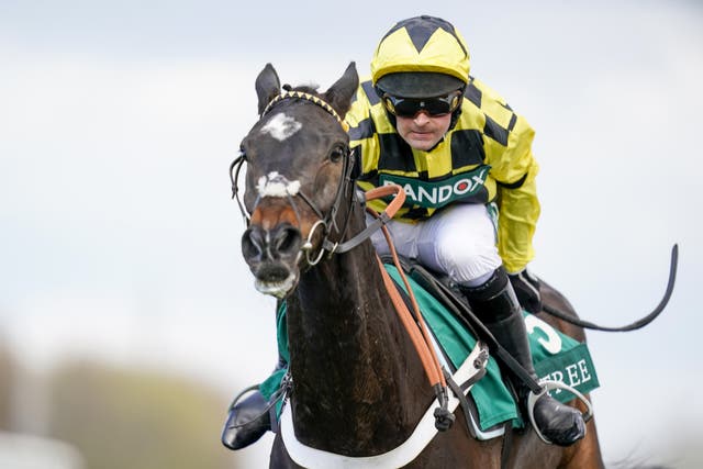 <p>The 10-year-old was due to contest the Ladbrokes Punchestown Gold Cup this week</p>