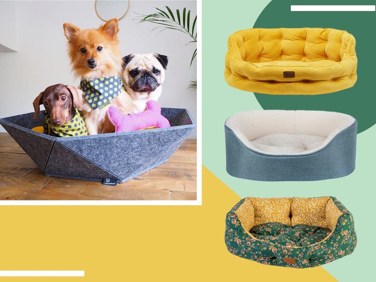 Best Dog Beds 2022 Comfortable, Double Bed With Dog Attached