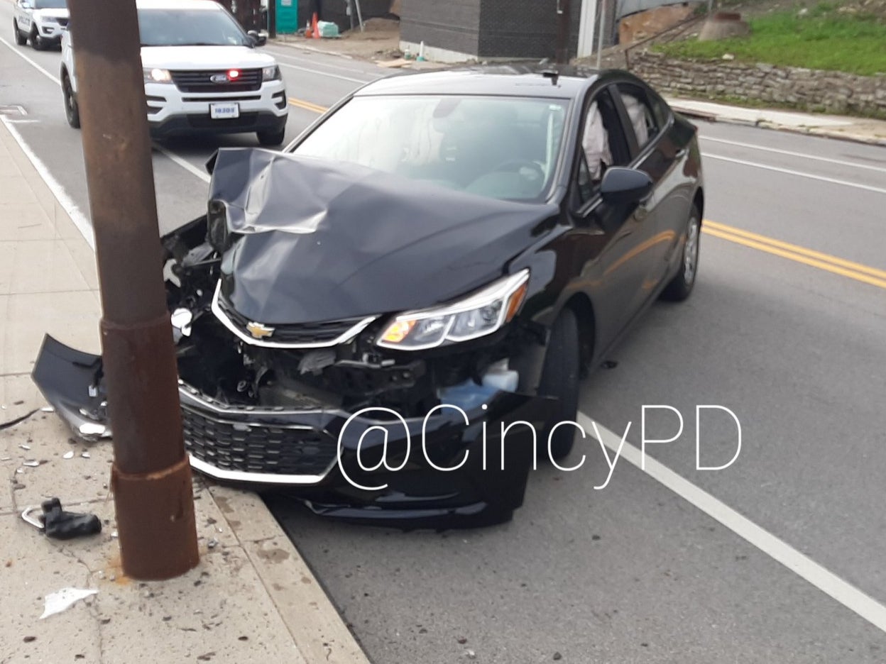 <p>A car crash caused by a cicada </p>