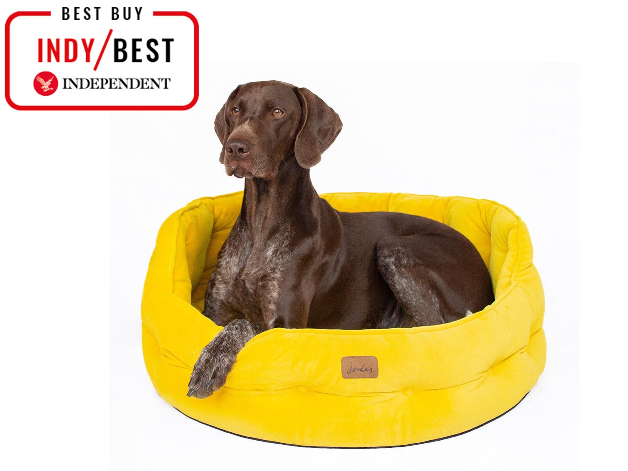 bed with dog bed under