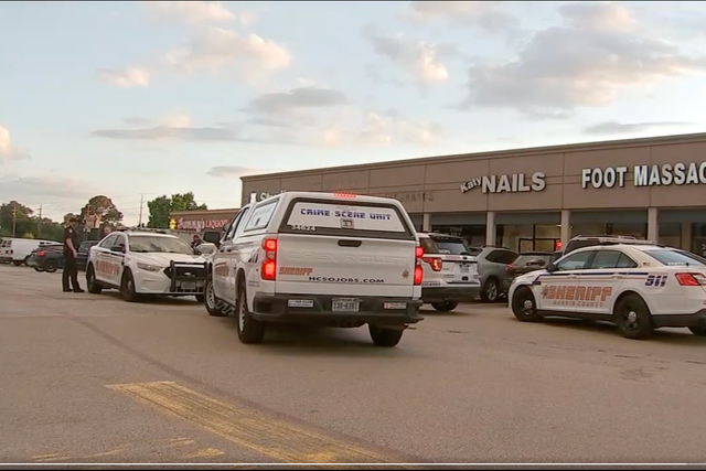<p>Police cars outside Katy Nails in Houston, Texas</p>