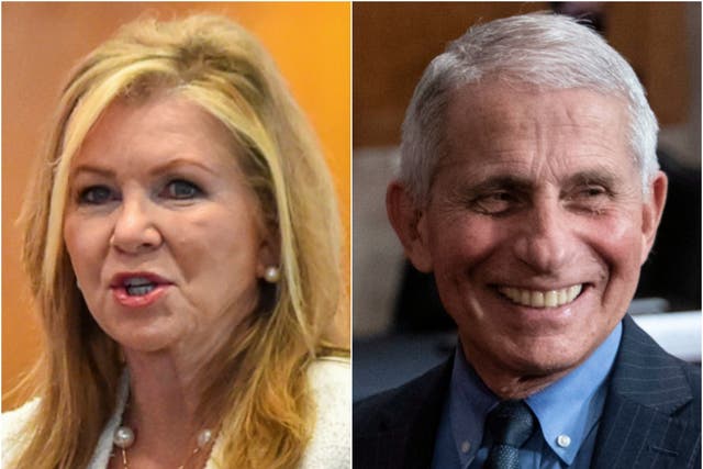 <p>Marsha Blackburn slammed Dr Anthony Fauci for producing a book during the pandemic, despite having recently published one herself. </p>