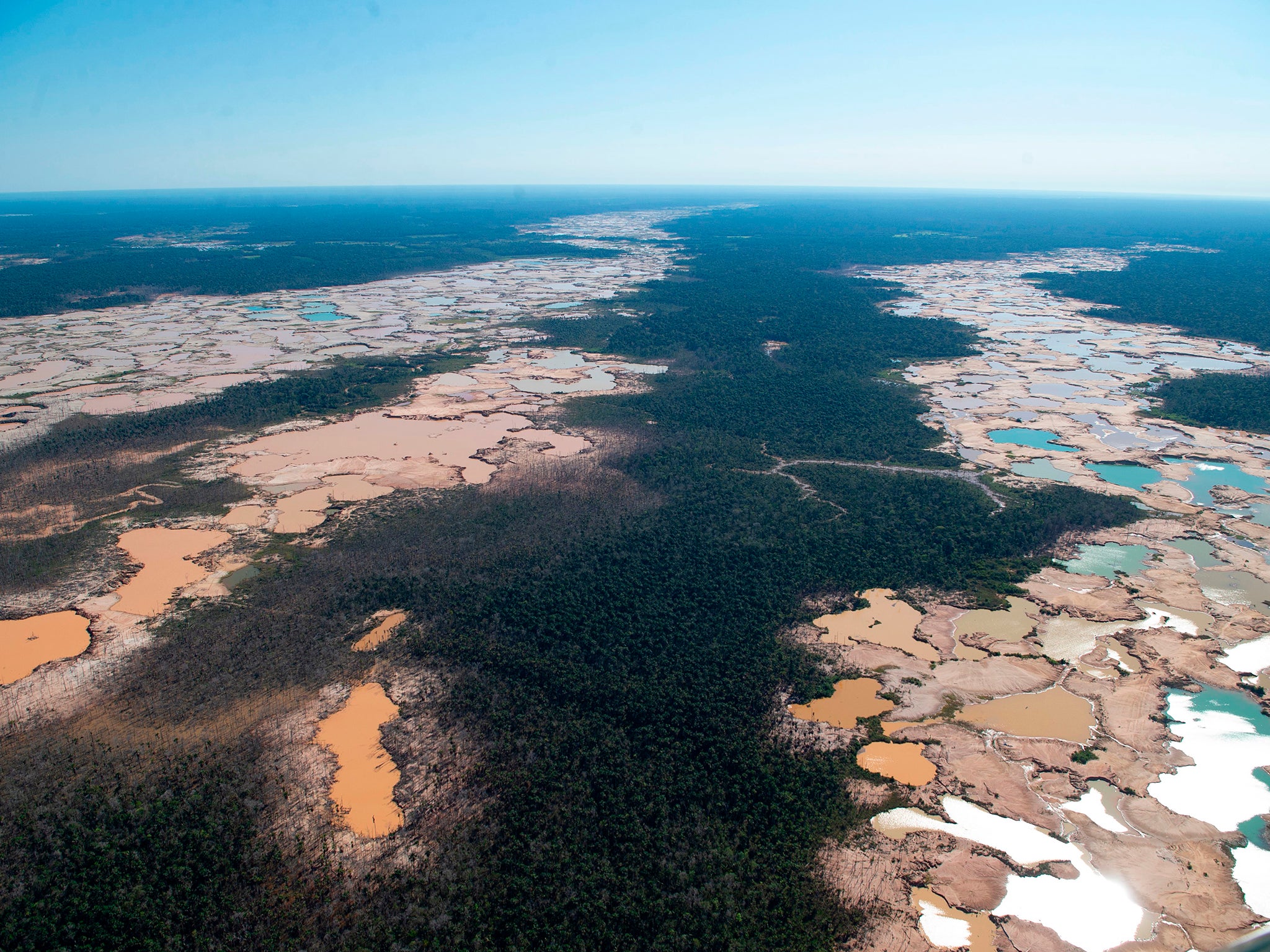 A chemically deforested area of the Amazon jungle caused by illegal mining