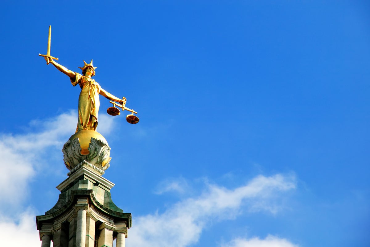 Justice Committee warns court reform could favour 