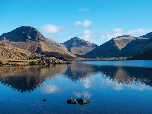 <p>Overgrazing means there is now more tree cover in the city of Sheffield than in the whole of the Lake District</p>