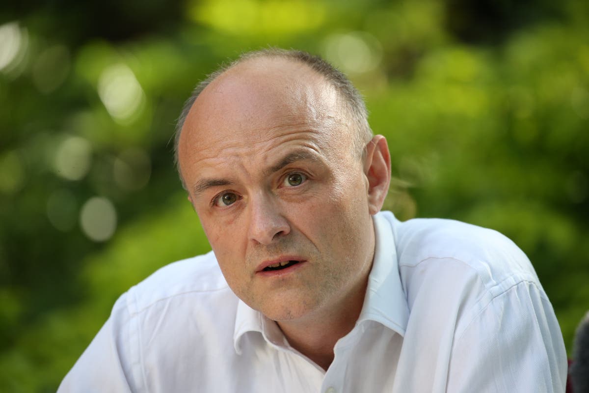 Cummings warned newsletter could breach code of conduct for special advisers 