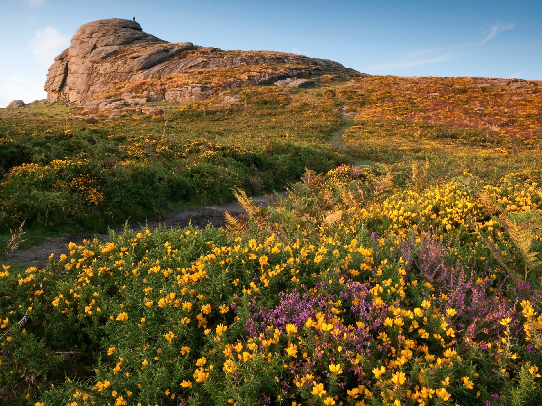 Haytor on Dartmoor, owned by the Duchy of Cornwall. Centuries of human activity have left only tiny pockets of intact wilderness
