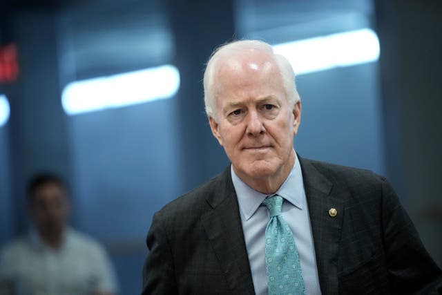 <p>Senator John Cornyn has accused Democrats of invoking “the race card” in their opposition to voter suppression laws.</p>