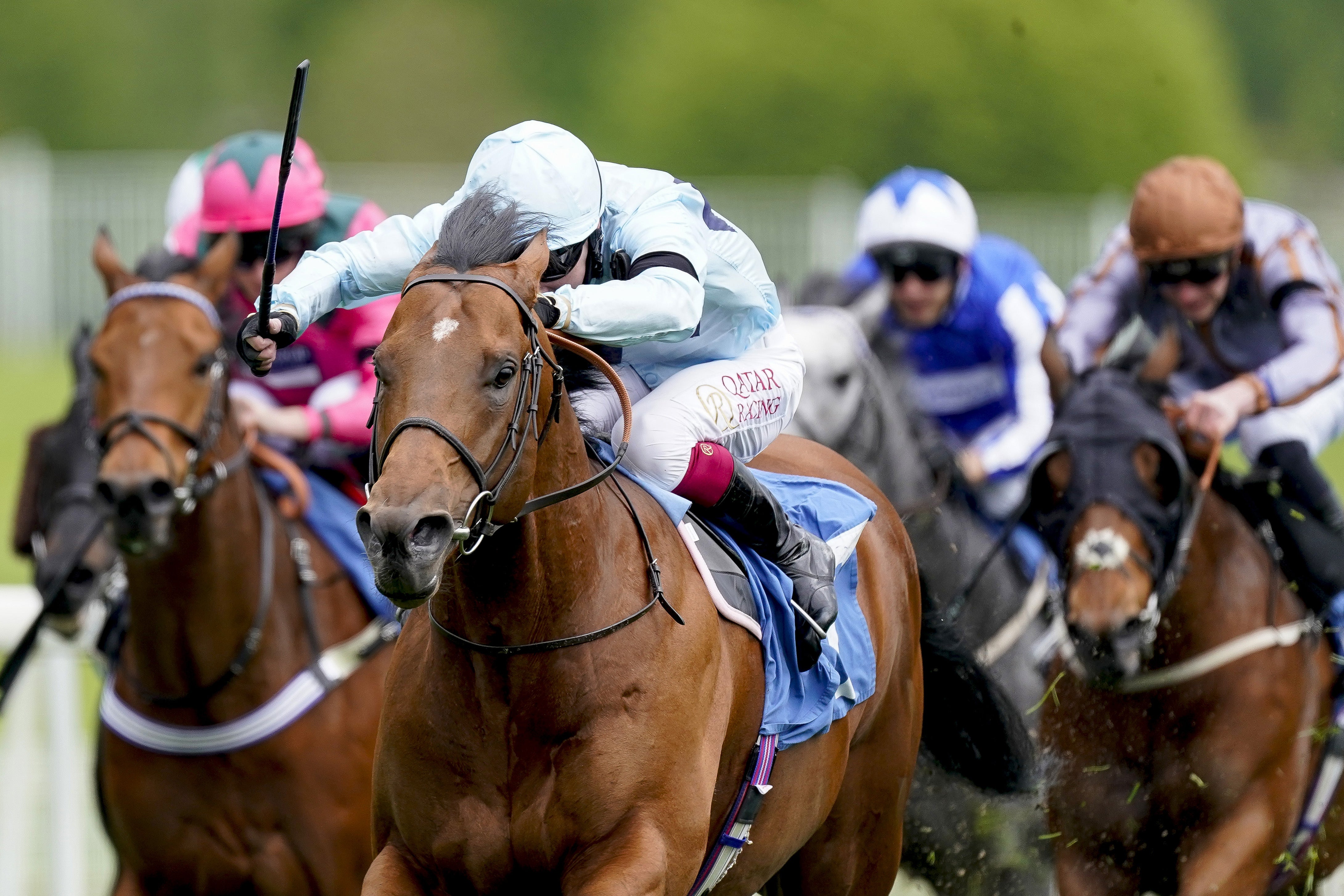 Starman began his season with a win in the Duke of York Stakes