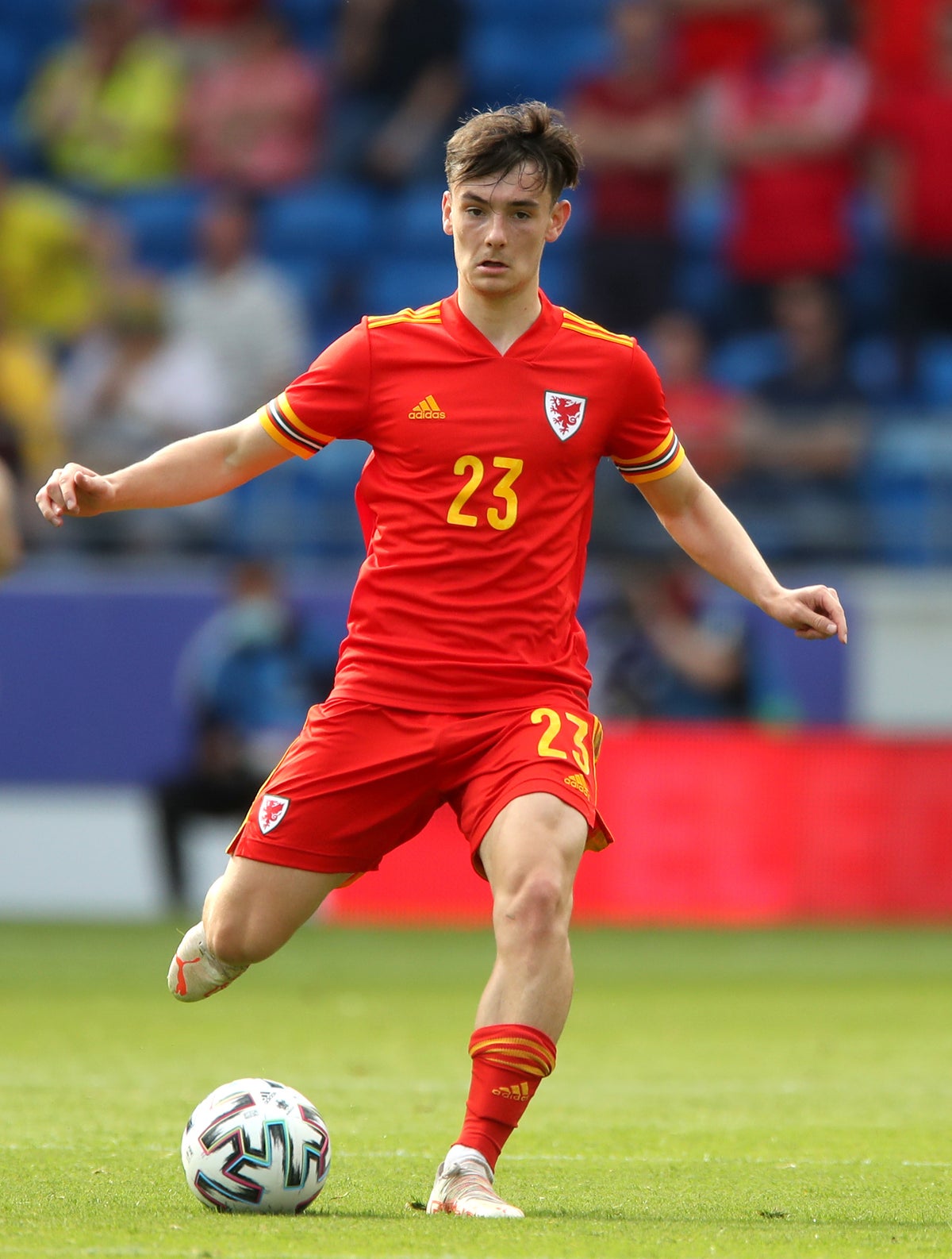 Dylan Levitt inspired by Wales’ 2016 heroes ahead of Euro 2020